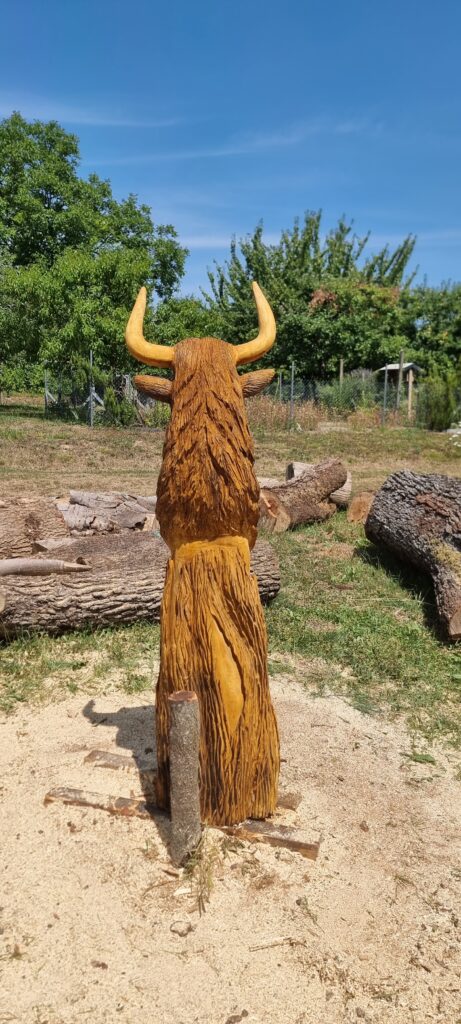 Stier9